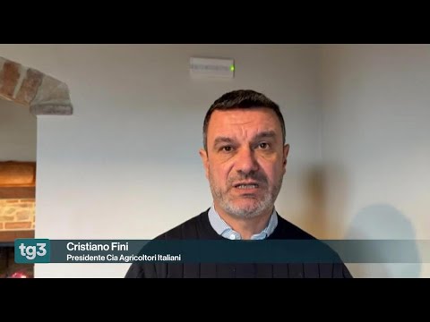 TG3 - Accordo Ue-Mercosur. Dal presidente di Cia, Fini, la richiesta di più controlli e reciprocità