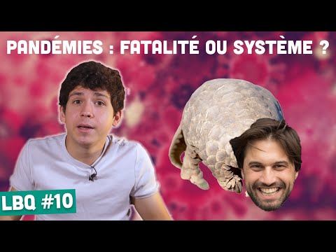 Covid : la faute aux Chinois ?