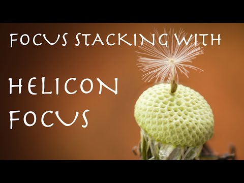 Focus Stacking and Blending with Helicon Focus