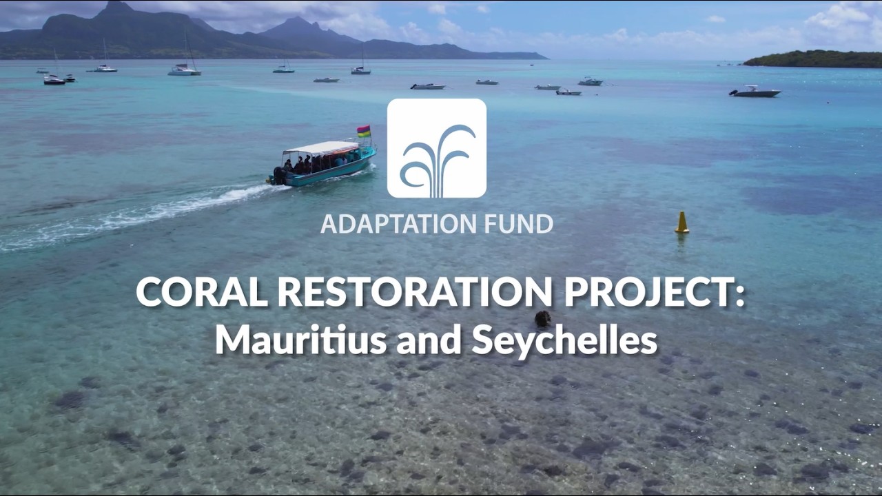 Restoring Coral Reefs for a Changing Climate in Mauritius and Seychelles