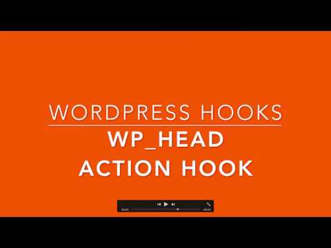 WordPress Hooks wp head Part-28 Example