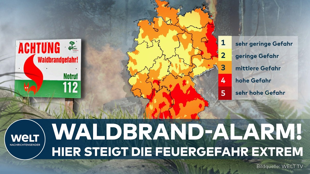 HITZEWELLE IN DEUTSCHLAND: Diese Bundesländer warnen jetzt vor akuter Waldbrandgefahr!
