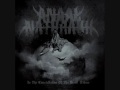 Anaal Nathrakh - Terror In The Mind Of God 