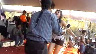 Download lagu pantura ipd   perawan kalimantan mp3