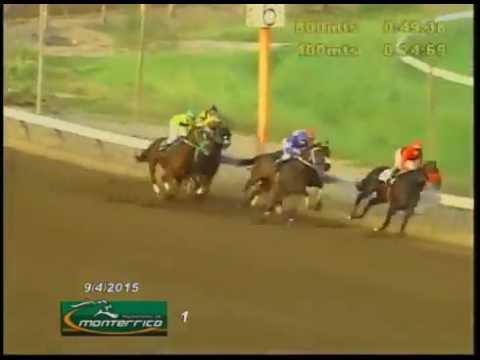 TOTO TERRY VENCIÓ DE ATROPELLADA