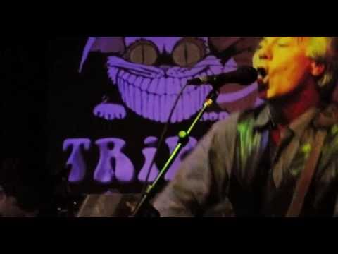 Darryl Holter at the Trip - 7