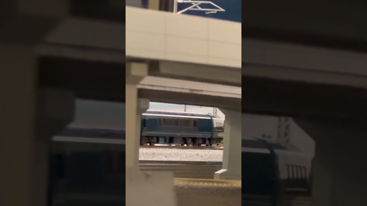 隙間からサフィール踊り子。#train #鉄道 #nゲージ #鉄道模型 #re_color #e261系 #サフィール踊り子 #特急踊り子