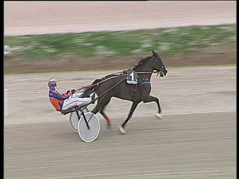 Trotto 20/12/2019 - prova di riqualifica