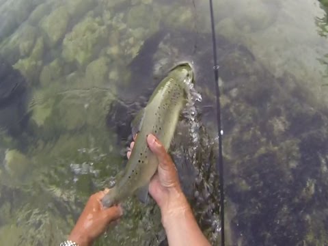 fly fishing in sava bohinjka 2013 