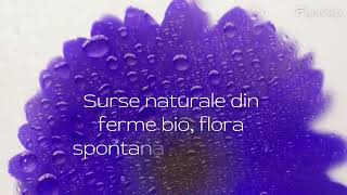 Uleiuri Esentiale obtinute cu CO2 supercritic