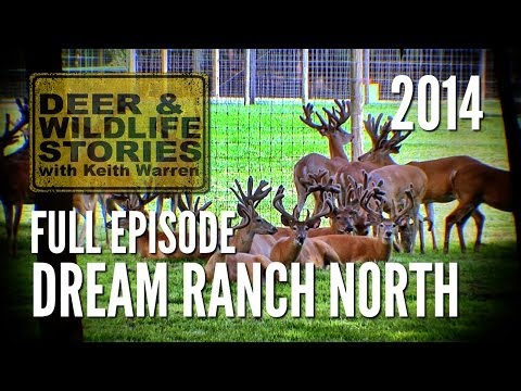 Dream Ranch North - Dreams For Sale | Deer Farming