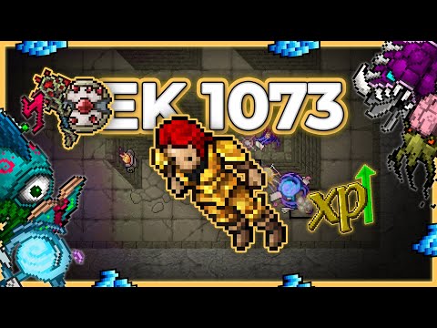 EK 1073 + ED Hunt Duo Energy Library 7.3kk/h Raw + 2.5kk Profit - Tibia Hunt [13.21] #tibia