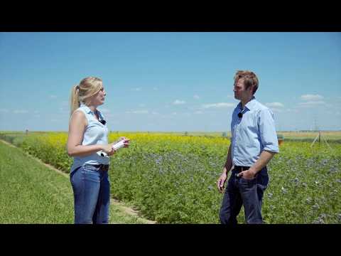 Lena besucht die Fit4NEXT Zwischenfrucht Demo in Seligenstadt