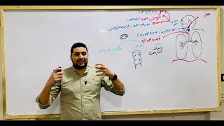 🌬️ شرح الجهاز التنفسي بالكامل | التركيب وآلية التنفس وتبادل الغازات | أحياء 