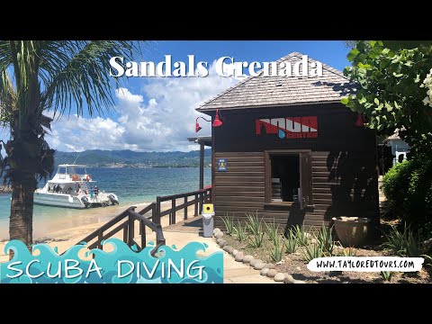 Videos del Sandals Grenada 5★ en Bamboo, GranadaVer MásVerPrecios17CerrarConsulta por Whatsapp 🇦🇷BookingTripadvisorExpediaAgodaTravelocityOrbitzPricelineTripSkyscannerDespegarKayakHotelesDestiniaTrivagoLastminuteTuiWotif