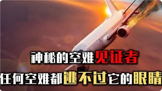 究竟什麼是黑盒子？神秘的空難見證者，所有空難都逃不過它的眼睛