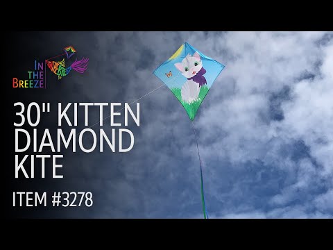 30" Kitten Diamond Kite - In the Breeze