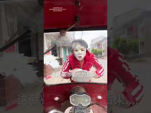 Warum stiehlt dieser Hund jeden Tag mein Essen #142