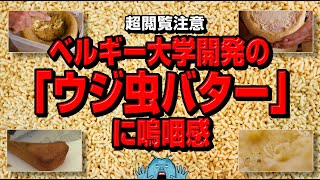 【閲覧注意】ベルギー大学開発の「ウジ虫バター」に嗚咽感