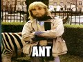 Ant