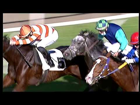 Galoppo 30/11/2020 - 1ª corsa