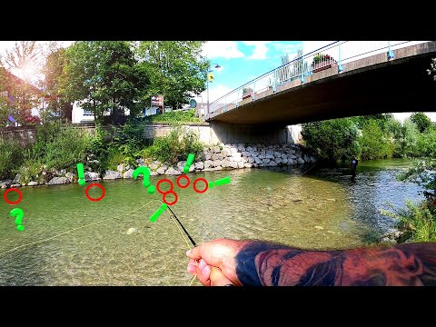 Überall Forellen - Hier muss was gehen... Forellenangeln im Sommer