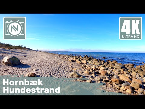 4K Virtual Walk - Hornbæk Hundestrand, Denmark - A walk on the dog beach and in the woods 🐶