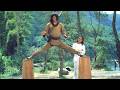 The Tiger Fist Best Chinese Action Kung Fu Movies In English