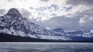 Alcest - Oiseaux de Proie (2016)
