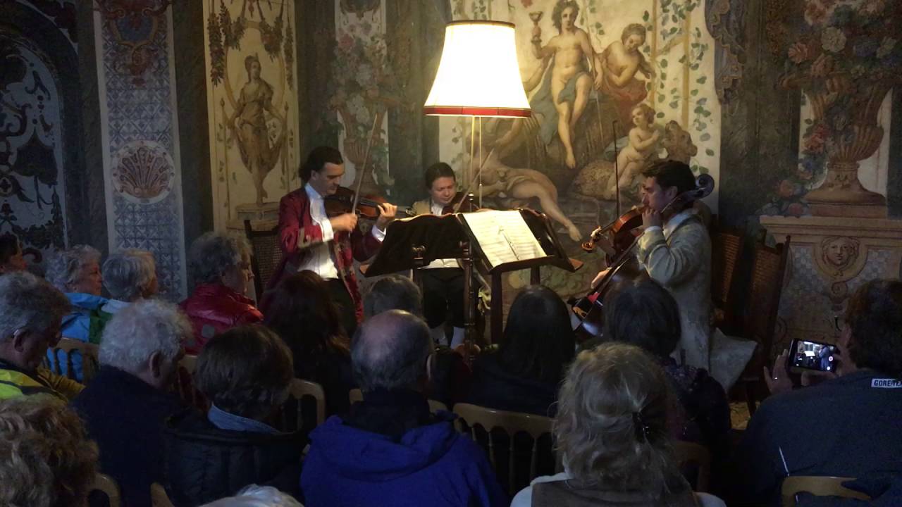 Experience the intimate cinematic close-ups of Sala Terrena's ornate Baroque frescoes, our string ensemble's elegant 18th-century attire, and the candlelit, vaulted chamber's soothing acoustics.