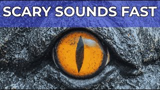 Video thumbnail for CrX4 by LinPlug - "Gore" Soundset by Daniel Stawczyk