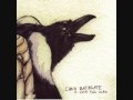 A Flash of Light Followed By - Chris Bathgate 