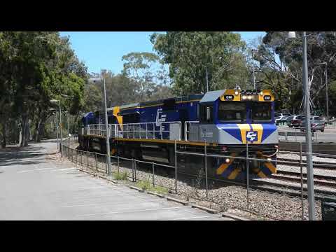 Rare! 6 Locomotives on SCT Freight 2PM9 at Blackwood, Including CM classes leading!