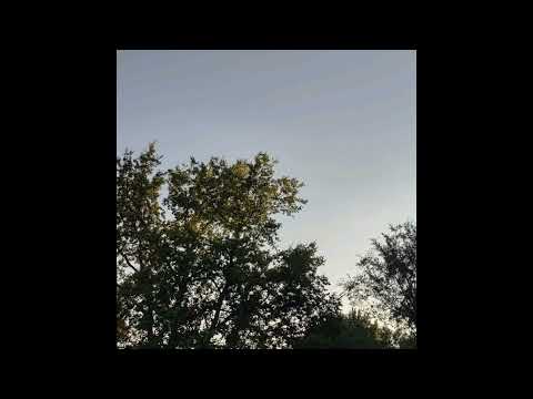 [FREE FOR PROFIT] sewerperson x fats'e x 93feetofsmoke type beat - "trees" (prod. AVXiD x RXHFF)