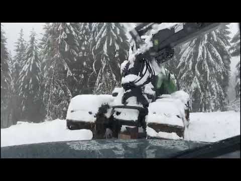 Der erste Schnee ist da!!