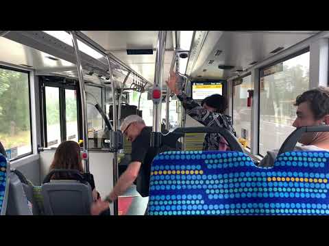 STA Sydney 2862 ST - MAN ND323F (ZF EcoLife Kickdown)