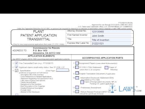 Plant Patent Application Transmittal SB0019