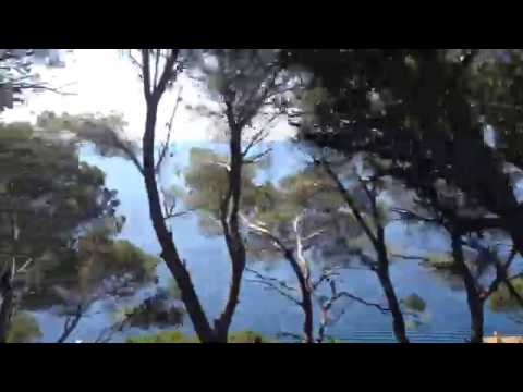 Bus turístic Palafrugell #JuliviaBus