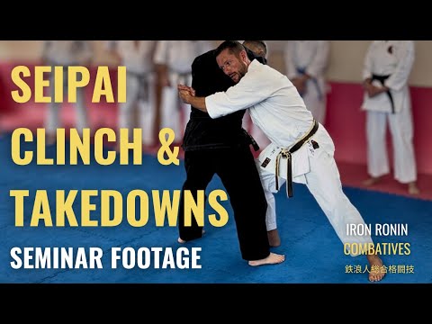 Seminar Footage - Seipai Bunkai