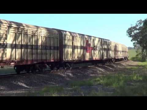 SCT004+SCT007+SCT006=WIRRAGULLA