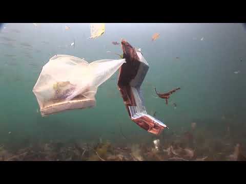 Unit 11 - Our Plastic World (Reading Explorer 1 - 3rd Ed.)