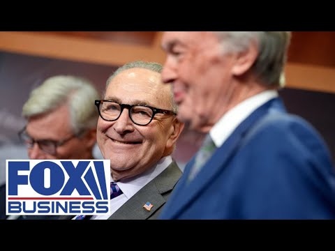 WATCH: Democrats’ most 'cringey' moments of 2025