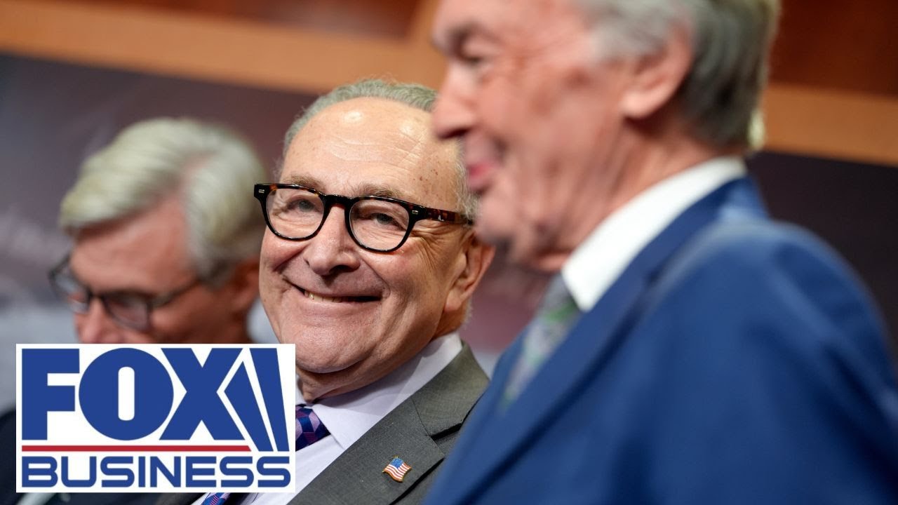 WATCH: Democrats’ most 'cringey' moments of 2025