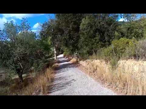 Son Bunyolí, excursió amb bicicleta de bicipalma per Mallorca