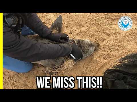 This Is Why We Love Winter Rescues