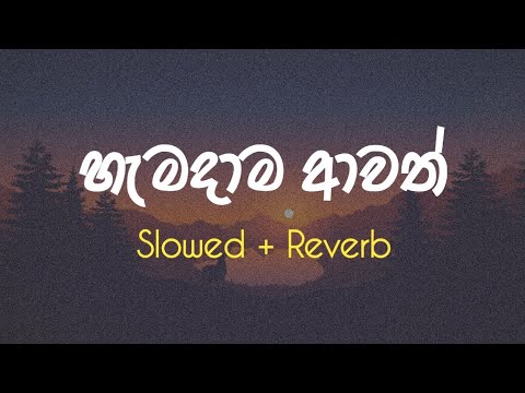 Hamadama Awath (Slowed+Reverb) | හැමදාම ආවත් මගේ හීනේට