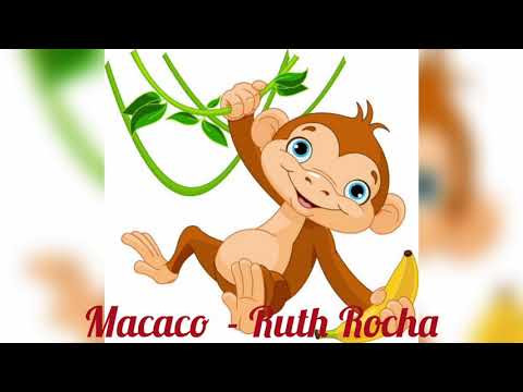 História Infantil: Ciranda da Leitura - Macaco - Ruth Rocha