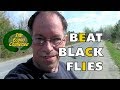Black Fly - How To Protect Yourself In The Wilderness