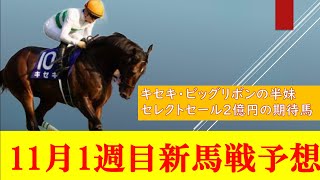 【11月1週目新馬戦予想】キセキ・ビッグリボンの半妹、ハミングデビュー！！セレクトセール2億円の期待馬フレミングフープも！
