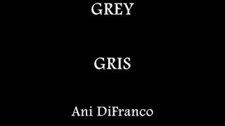 Ani DiFranco - Grey  (Inglés - Español)